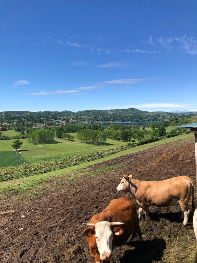 Cascina Coste Villa Roppolo Exteriör bild