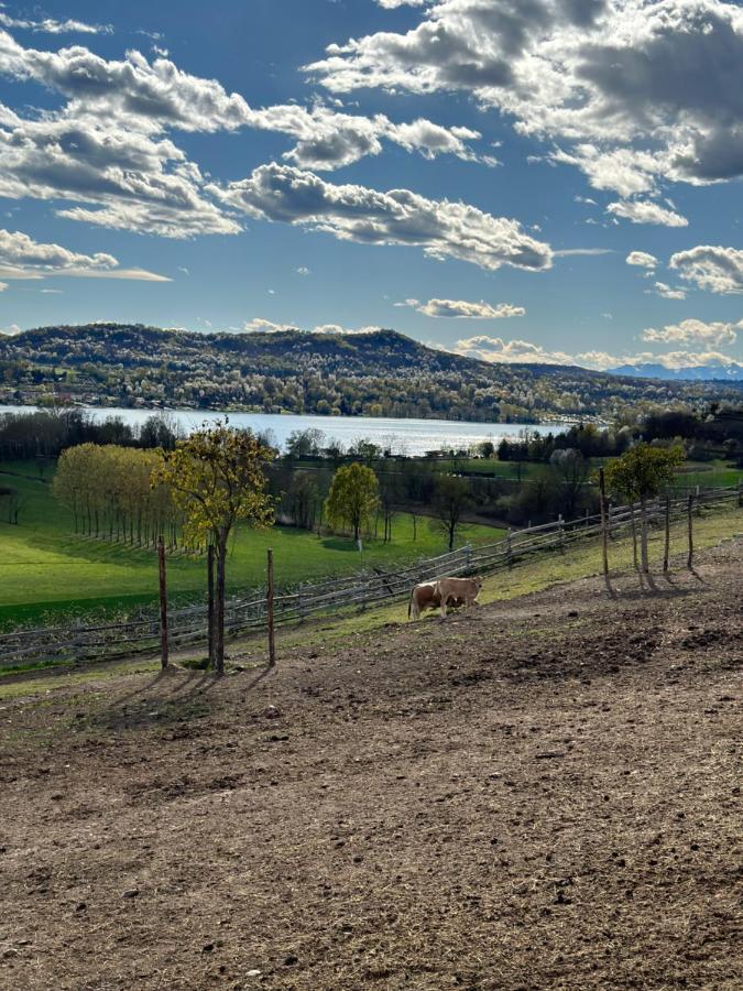 Cascina Coste Villa Roppolo Exteriör bild