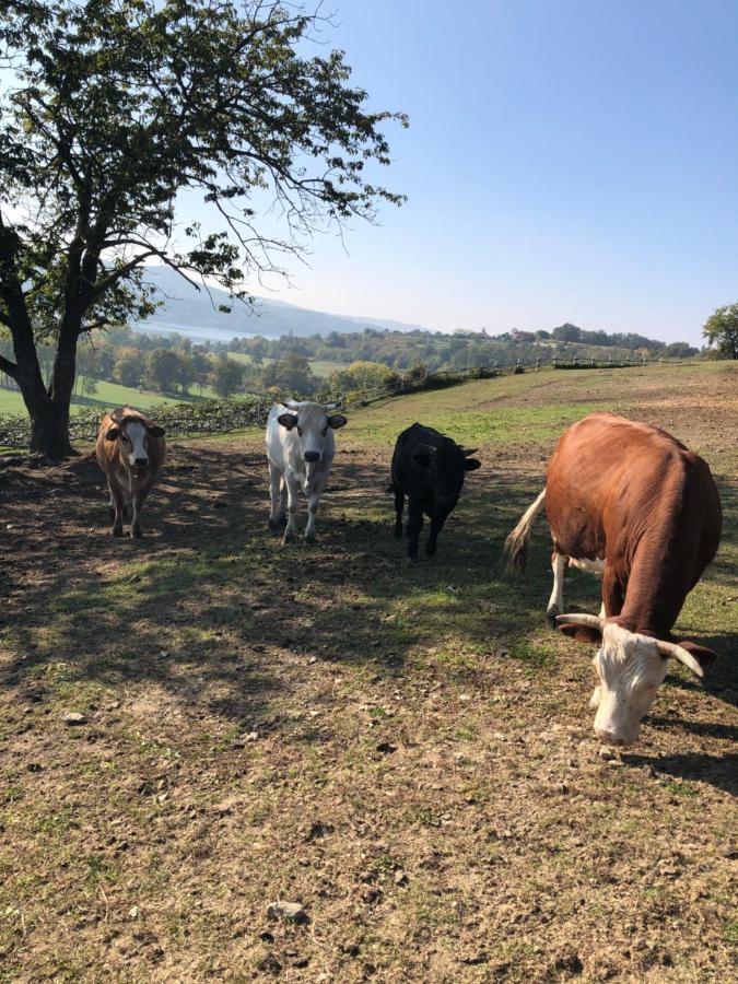 Cascina Coste Villa Roppolo Exteriör bild